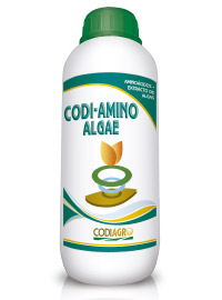 codiagro