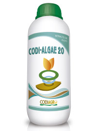 codiagro