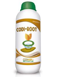 codiagro