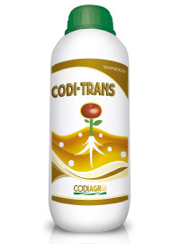codiagro