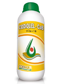 codiagro